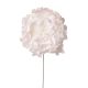 Peonia selyemvirág szál- 26cm - Fehér