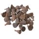 Mini lótusz 1-3cm- 50db/csom - Natúr