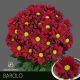 CHR T BAROLO - S