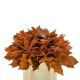 QUERC RUB OV KLB H% - ORANGE
