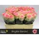 R GR5 BRIGITTE BARDOT
