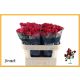 R TR ROSEBERRY 70CM