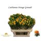 CARTH T ORANGE GRENA