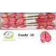 ANTH A CANDY *10