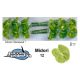 ANTH A MIDORI *12