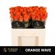 R GR5 ORANGE WAVE