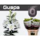 LI OR DU GUAPA