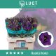 EUS G ROSI VIOLET