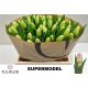 TU EN SUPERMODEL