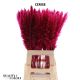 CORTA SELLOAN OV KLB H% - CERISE