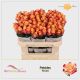 R GR PEBBLES 70CM